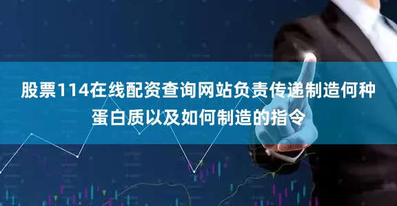 股票114在线配资查询网站负责传递制造何种蛋白质以及如何制造的指令